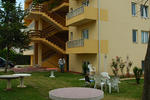 Photos of Pansion Glory