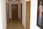 Photos of Pansion Glory