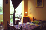 Quetzalroo - Image 9
