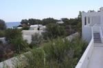 Sunrise Studios - Image 3
