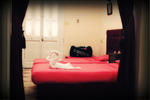 Egyptian Night - Image 4