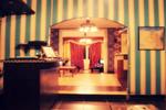 Egyptian Night - Image 6