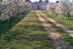 B&B Masseria Spilafemine