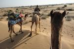 Mystic Jaisalmer - Image 10