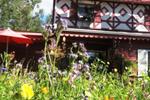 Billie's Backpackers Hostel