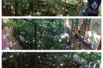Photos of Grandio Party Hostel