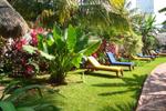 Hotel Casa Barbara - Image 5