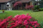 B&B Dolce Lario - Image 4