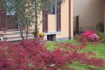 B&B Dolce Lario - Image 5