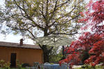 B&B Dolce Lario - Image 8