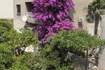 Fabris Guesthouse
