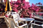 Photos of Fabris Guesthouse