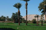 Home Sweet Home  Egypt - Image 3