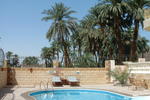 Home Sweet Home  Egypt - Image 5