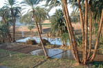 Home Sweet Home  Egypt - Image 10