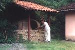 Photos of House-Hotel Villa Saracena