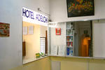 Photos of Hotel Adelchi