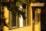 Picnic Hostel - Image 9