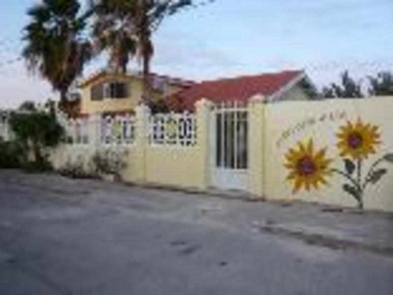 Aruba Sunflower Villa  0