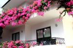 Dolce Cascais Guest House - Image 5