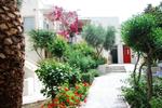 Photos of Nissia Kamares