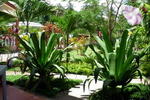 Casa Lily & Coco - Image 8