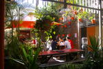 The Original Backpackers Hostel - Image 2