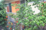 The Original Backpackers Hostel - Image 10