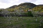 Photos of Bucovina Hills Guesthouse