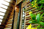 The Village House - Image 2