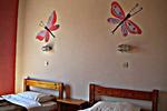 The Comfy Hostel/Studios - Image 4