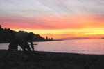 HI-Vancouver Jericho Beach - Image 6
