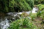 Las Orquideas B&B - Image 4