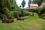 Las Orquideas B&B - Image 5