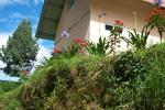 Las Orquideas B&B - Image 7
