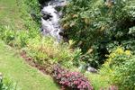 Las Orquideas B&B - Image 8