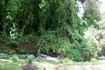 Las Orquideas B&B - Image 10