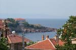 Photos of Mladenovi House Bed and Breakfast