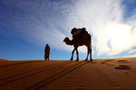 Chez Youssef Lodge - Image 10
