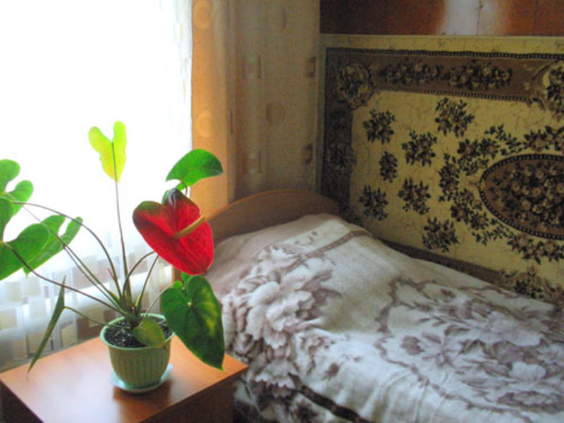 Olga's Baikal Guesthouse  3