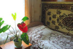 Photos of Olga's Baikal Guesthouse