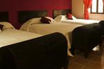 7 Orejas hostel - Image 2