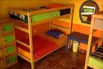 Iguana Hostel - Image 2
