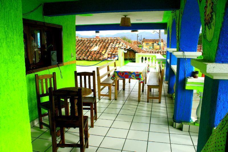 Iguana Hostel  2