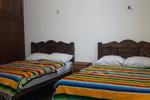Iguana Hostel - Image 4