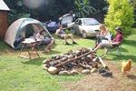 Billy Bongo Backpackers - Image 7