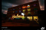 Photos of Haleeva Sunshine