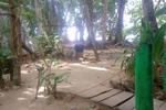 Photos of Crocodile Surf Camp and Beachfront Cabins