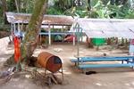 Photos of Crocodile Surf Camp and Beachfront Cabins