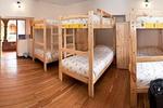 Ecopackers - Image 3